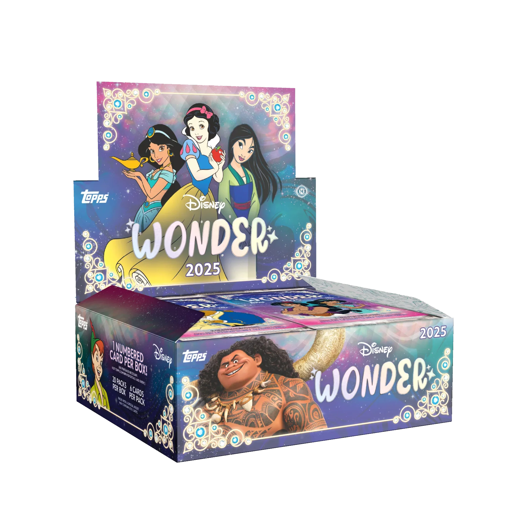2025 Disney Wonder - Hobby Box Sealed